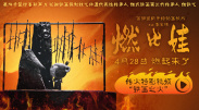 五月婷婷六月丁香在线